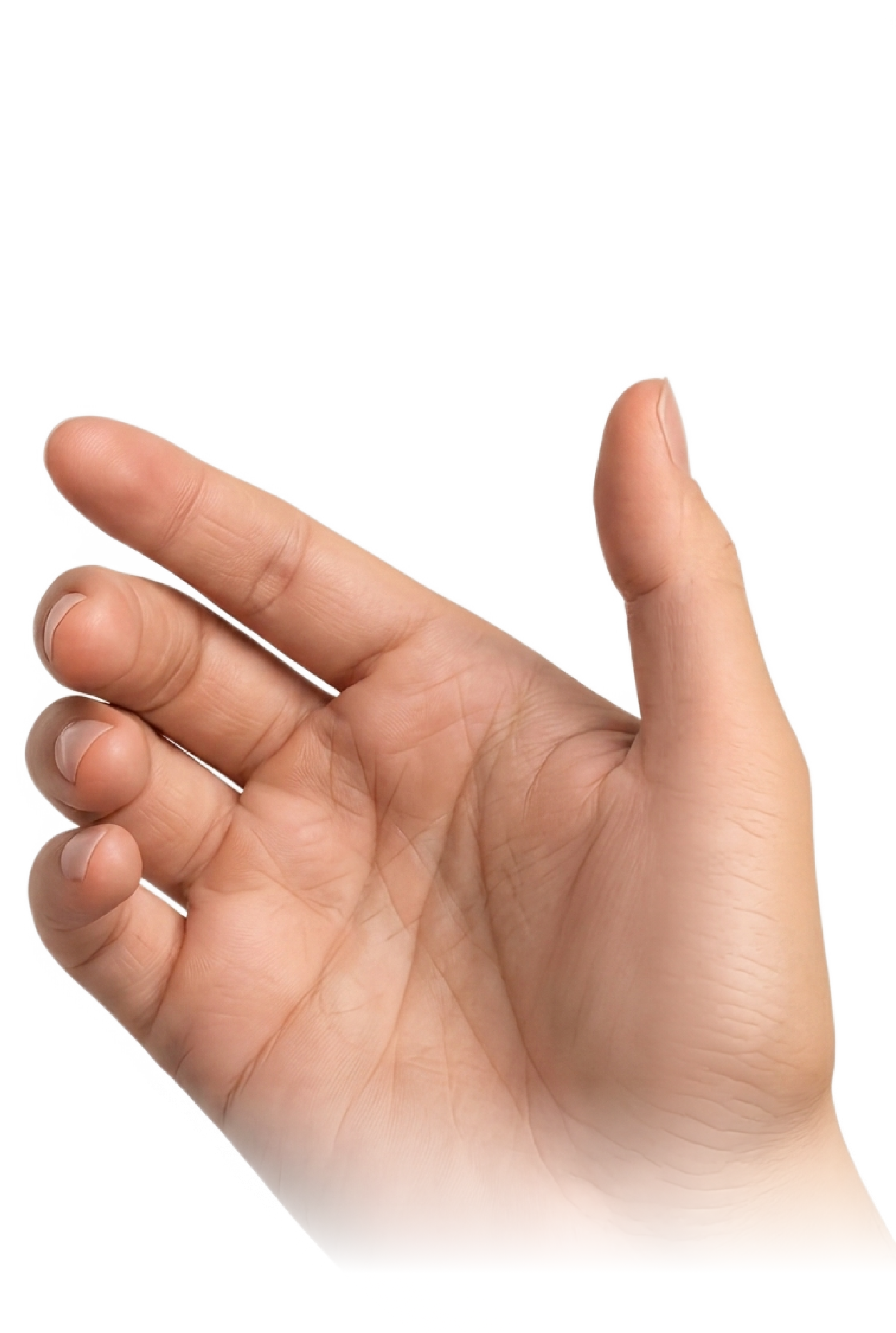 Hand